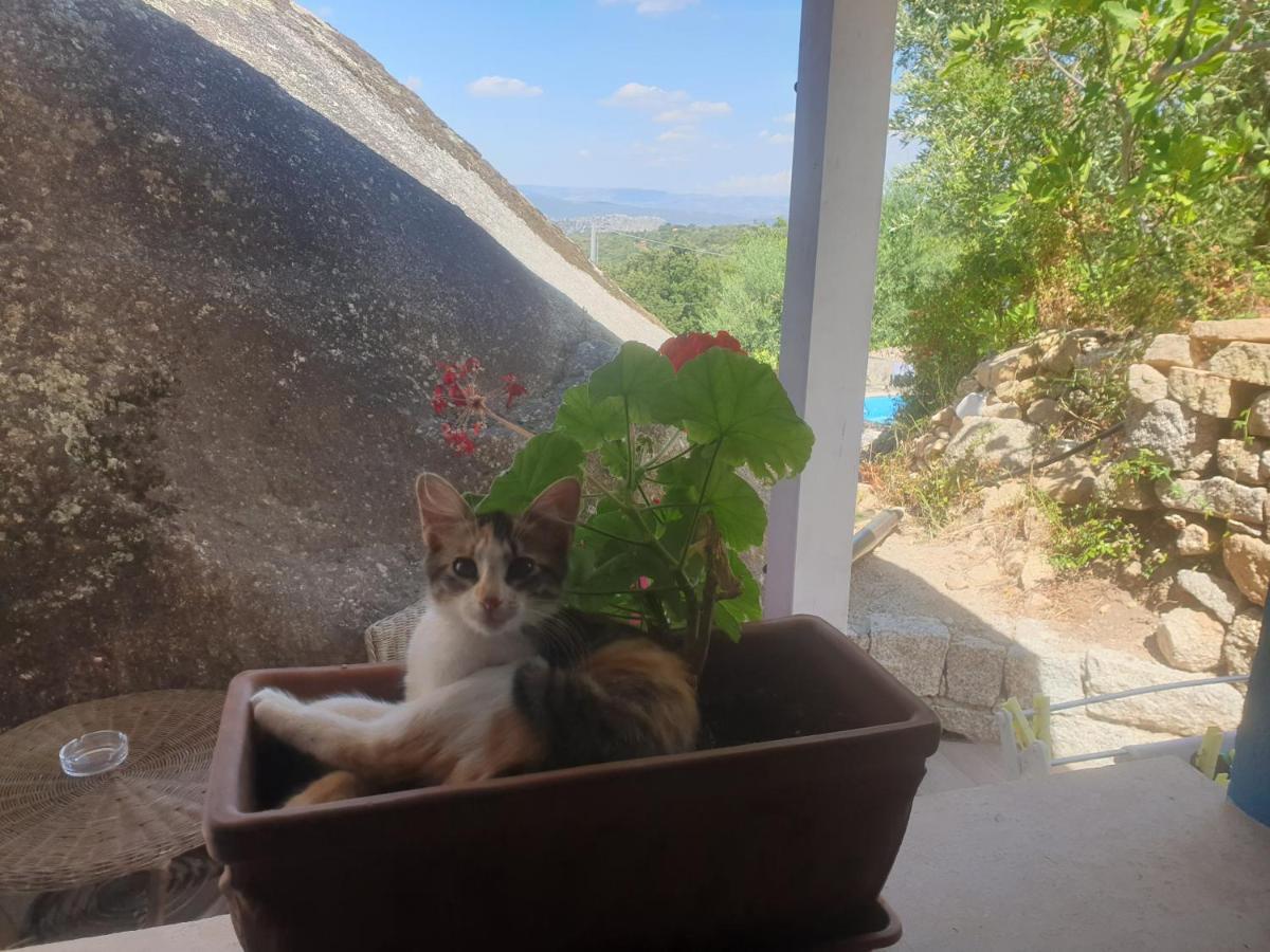 B&B Tiscali Dorgali Bagian luar foto
